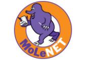 News Article Image: Changes to MoLeNET Services and MoLeFE